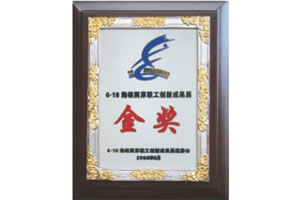 2008年，海峡两岸创新成果展金奖